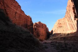 IMG_5545.jpg IMG_5545.jpg