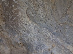 DSC08686.JPG DSC08686.JPG