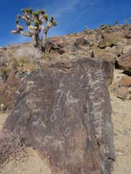 DSC08880.JPG DSC08880.JPG