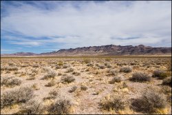 _MG_7366.jpg _MG_7366.jpg