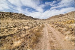 _MG_7368.jpg _MG_7368.jpg