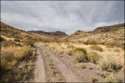 _MG_7373.jpg _MG_7373.jpg