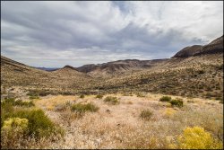 _MG_7374.jpg _MG_7374.jpg