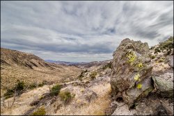 _MG_7375b.jpg _MG_7375b.jpg