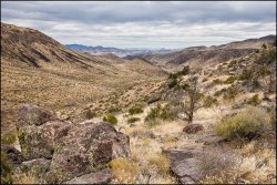 _MG_7376b.jpg _MG_7376b.jpg