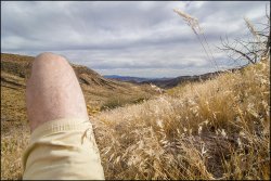 _MG_7385.jpg _MG_7385.jpg