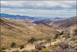 _MG_7386.jpg _MG_7386.jpg