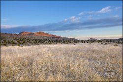 _MG_7423.jpg _MG_7423.jpg