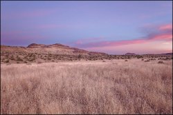 _MG_7445.jpg _MG_7445.jpg