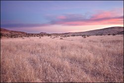 _MG_7446.jpg _MG_7446.jpg