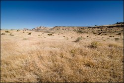 _MG_7465.jpg _MG_7465.jpg