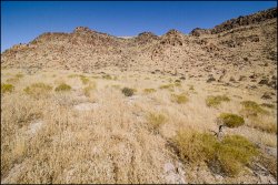 _MG_7466.jpg _MG_7466.jpg