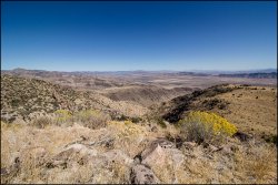 _MG_7473.jpg _MG_7473.jpg