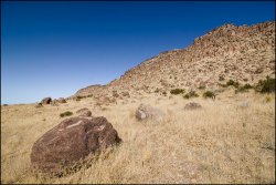 _MG_7478.jpg _MG_7478.jpg