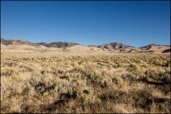 _MG_7491.jpg _MG_7491.jpg