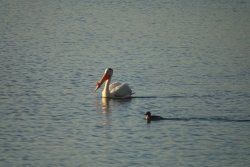 2019-07-25 05.13.08.jpg 2019-07-25 05.13.08.jpg