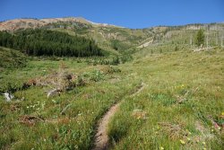 2019-07-25 07.07.41.jpg 2019-07-25 07.07.41.jpg