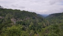 20190809_111105.jpg 20190809_111105.jpg