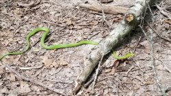 20190809_144458.jpg 20190809_144458.jpg