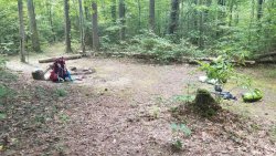 20190809_160927.jpg 20190809_160927.jpg