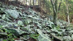 20190810_104657.jpg 20190810_104657.jpg