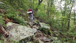 20190810_112528.jpg 20190810_112528.jpg