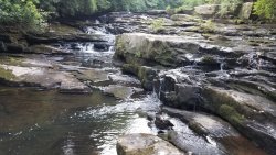 20190811_081019.jpg 20190811_081019.jpg