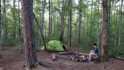 20190810_202516.jpg 20190810_202516.jpg