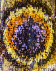 PA260263.jpg PA260263.jpg