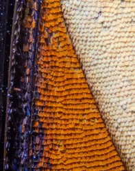 PA260629.jpg PA260629.jpg