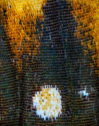 PA260665.jpg PA260665.jpg