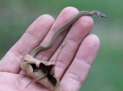 5J5A2503.JPG 5J5A2503.JPG