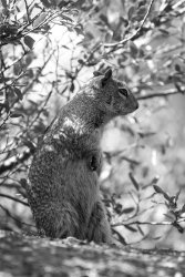 HalfDome1019-70.jpg HalfDome1019-70.jpg