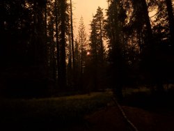 20191008_172055.jpg 20191008_172055.jpg