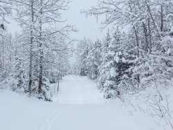 P1090150-copy.jpg P1090150-copy.jpg