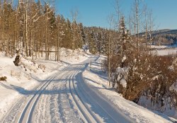 P1090158-copy.jpg P1090158-copy.jpg