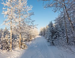 P1090175-copy.jpg P1090175-copy.jpg