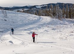 P1090200-copy.jpg P1090200-copy.jpg