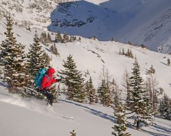 _1170030-copy-2.jpg _1170030-copy-2.jpg