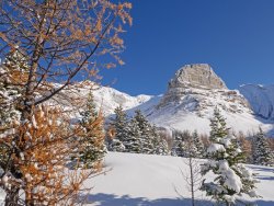 _1170022-copy-2.jpg _1170022-copy-2.jpg