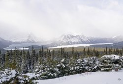 _1170041-copy.jpg _1170041-copy.jpg