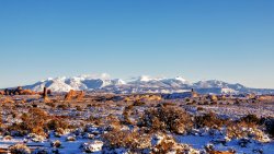 i have 70 pictures of this, each one better than the last.jpg