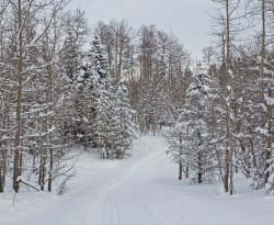 IronCreek-1.jpg IronCreek-1.jpg