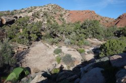 Comb Ridge camping v1.jpg