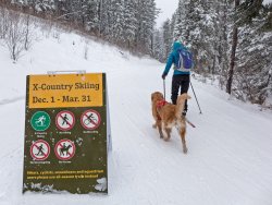 P1030299 copy 2.jpg P1030299 copy 2.jpg