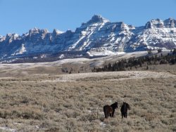Ramshorn Absaroka Entrance.jpg