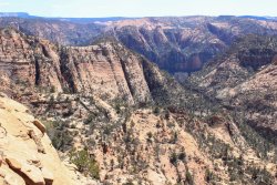 IMG_2690.jpg IMG_2690.jpg