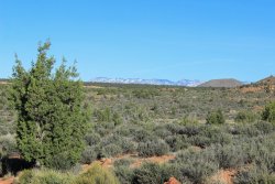 IMG_2808.jpg IMG_2808.jpg