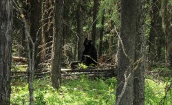 IMG_3087.jpg IMG_3087.jpg