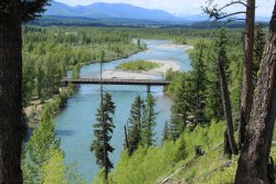 IMG_3107.jpg IMG_3107.jpg